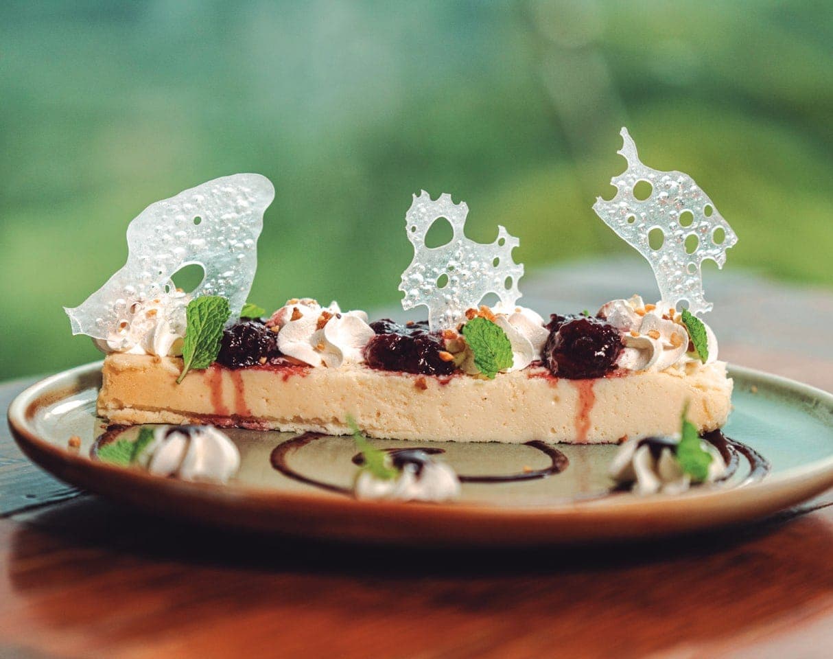 Cheesecake de Frutos Rojos